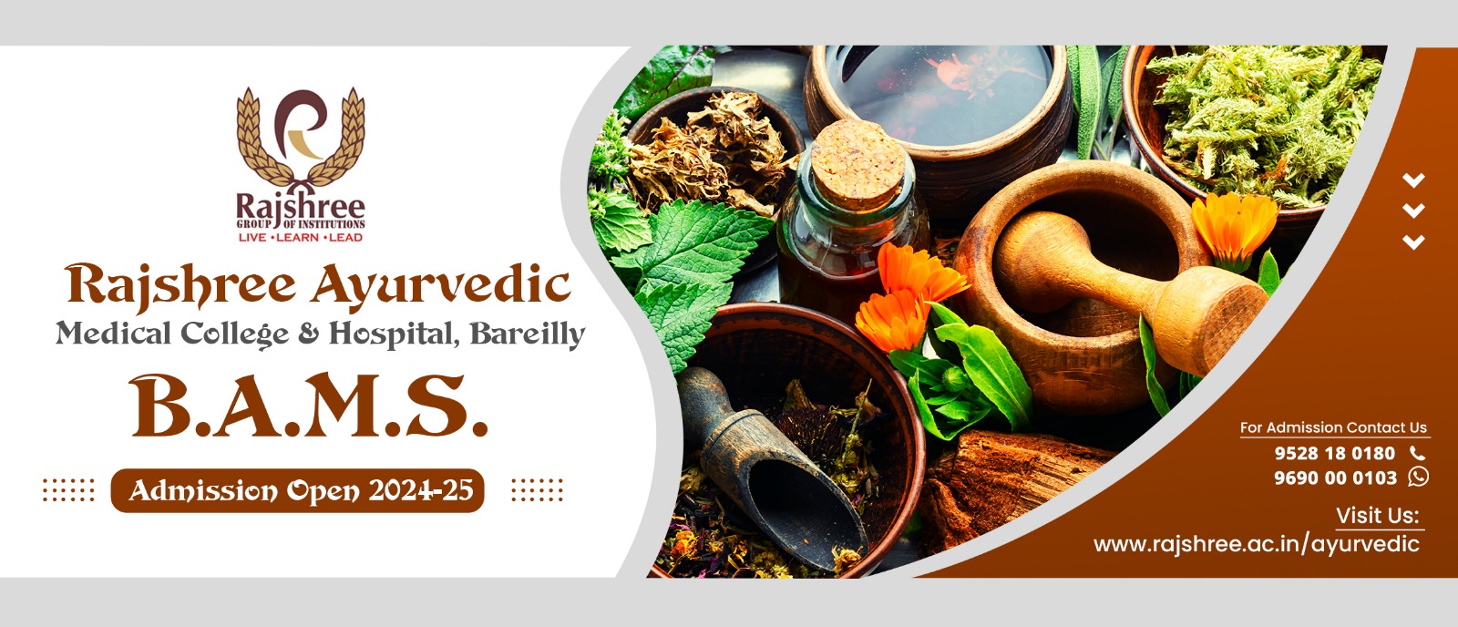 About Rajshree Ayurvedic Medical College, Bareilly, Uttar Pradesh